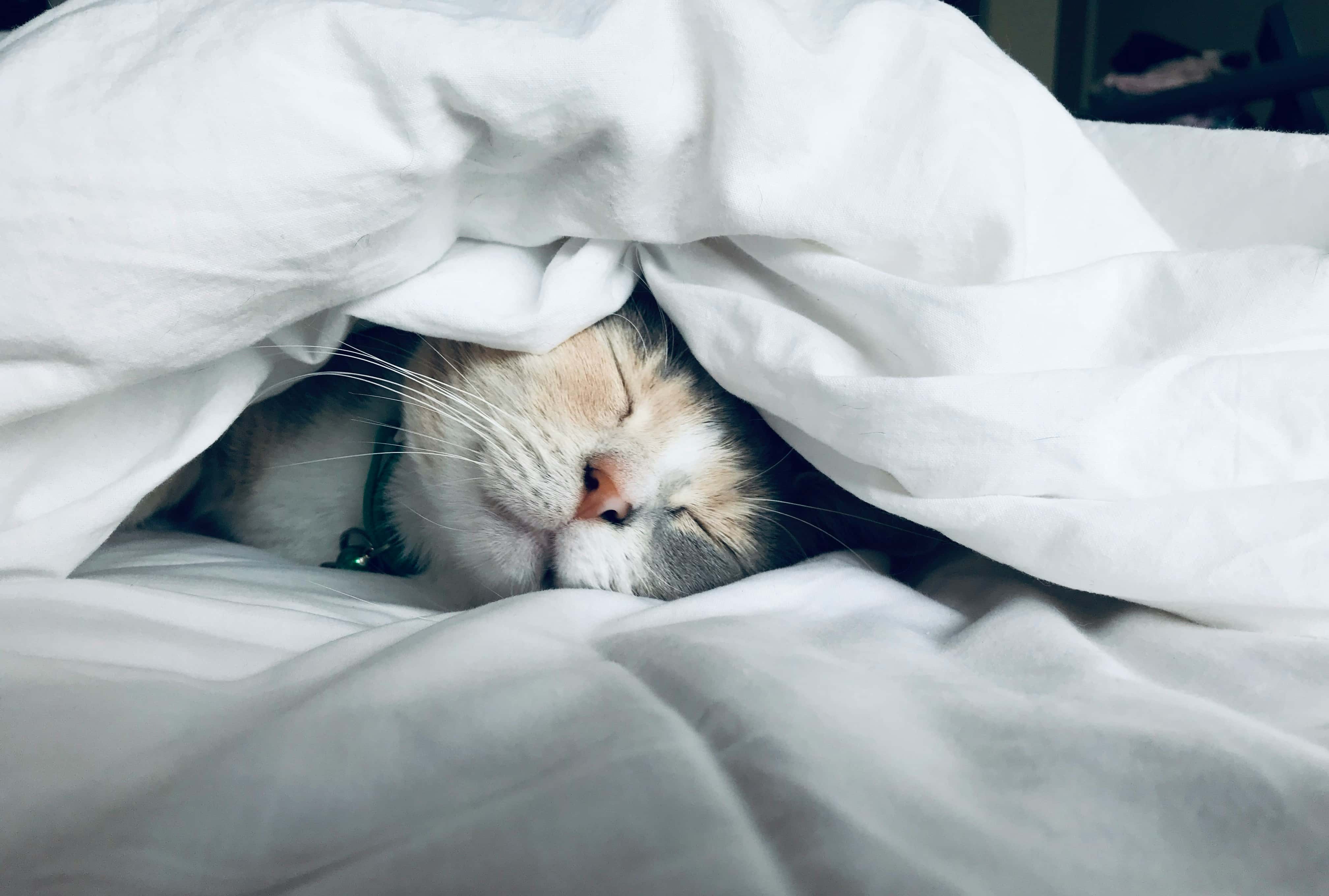Esa sensación de descanso nocturno que busco con 50+ cuando por fin el cuerpo y la cabeza se apagan.