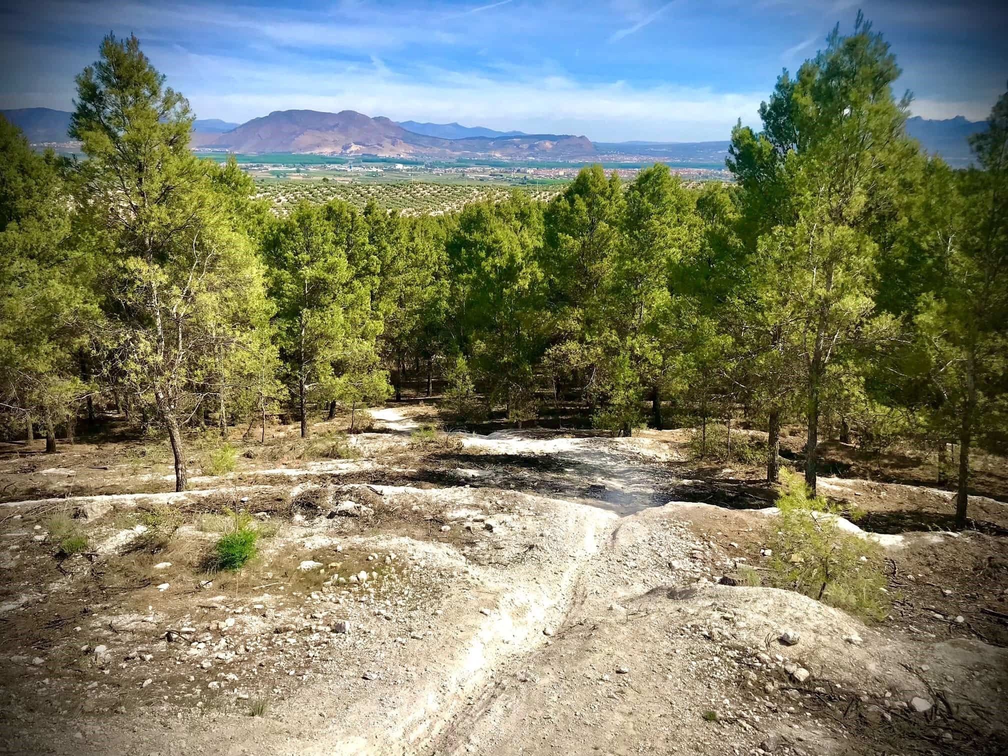 Sendero en la Dehesa de Santa Fe (Granada), donde empecé a recuperar el movimiento diario y los paseos con ViveConUve.