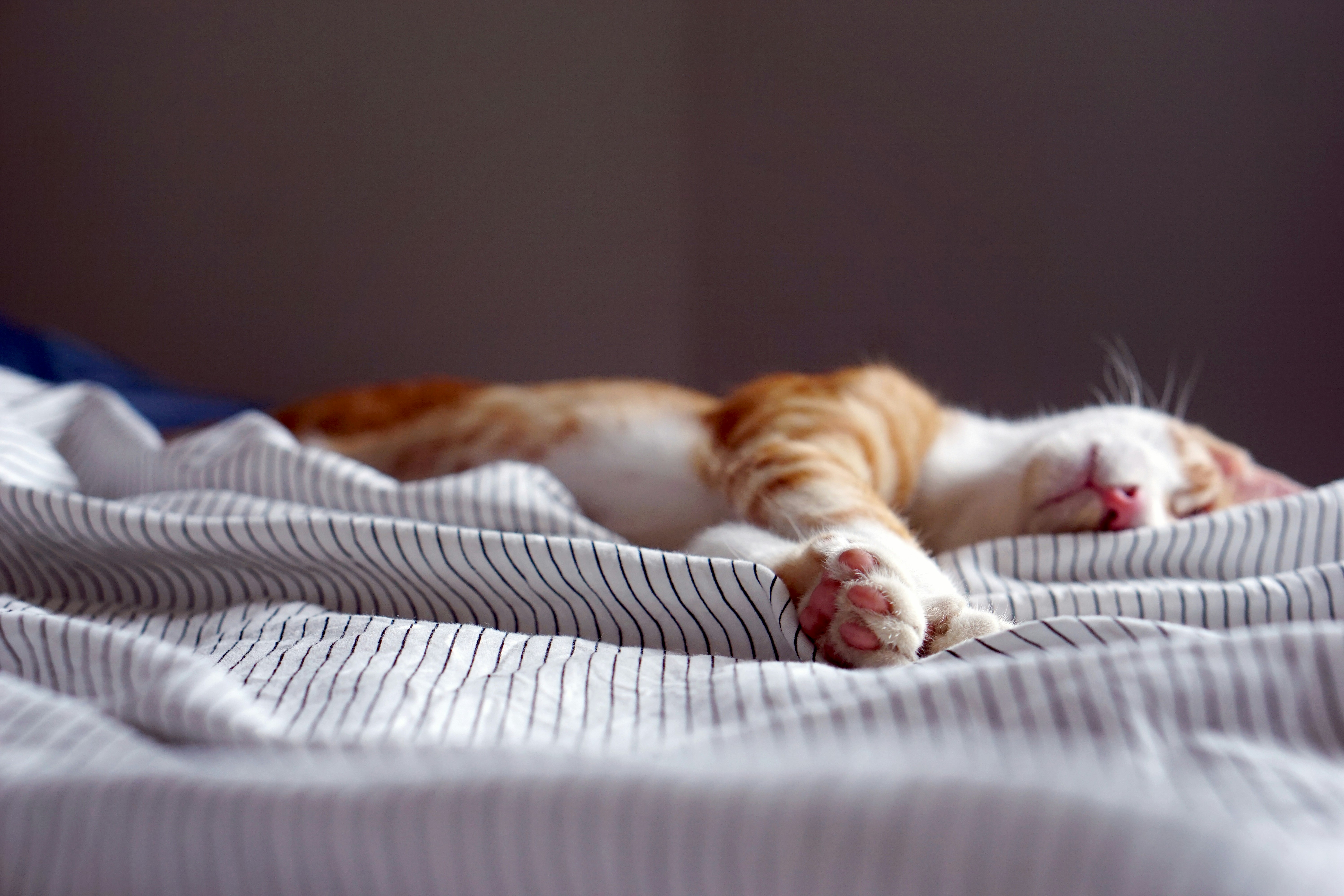Sleepmaxxing sin gadgets: cómo dejar de acostarte tarde por inercia y dormir mejor de verdad